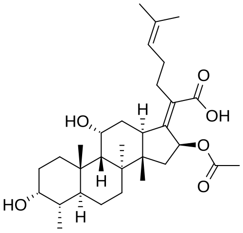 Fucidin (Fusidic Acid) packaging or tablets