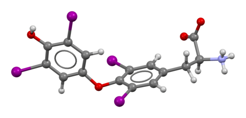 Thyroxine (Levothyroxine Sodium) packaging or tablets